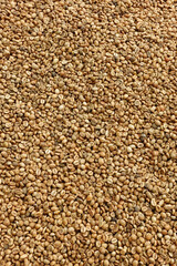  Close up of coffee beans for background                                                                                 