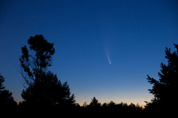 Bright stars and planets in the night sky