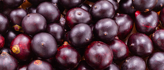 Acai fruit, fruit of Amazonian origin are attributed many medicinal properties