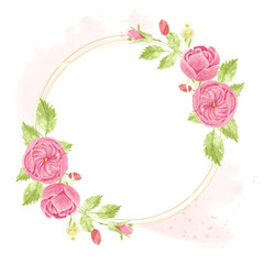 watercolor pink english rose wreath with round golden frame on pink splash background
