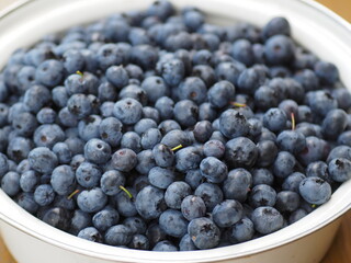 Blueberries close up. Forest and garden plants and berries.