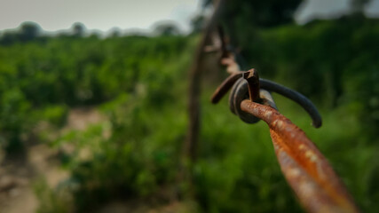 Wire fencing at the farm 