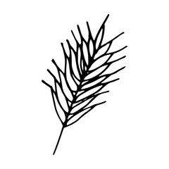 spikelet icon, sticker, card, poster hand drawn vector doodle. sketch, Scandinavian, minimalism, monochrome. single element for design. plant, crop, cereals, grain