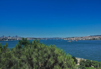 Fototapeta premium Ships and boats sail in the blue water of the Bosphorus. City buildings and a bridge are visible in the distance. In the foreground are the bright branches of coniferous trees. Istanbul, Turkey.