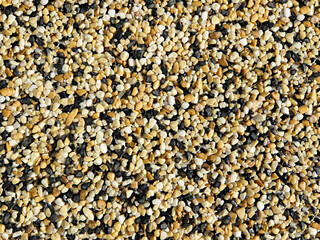 Sea stones background Nature Sea eco River