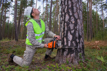 A forest worker stands with a chainsaw near a tree. A lumberjack cuts down a tree. The concept of cutting down forests on the planet. Forestry, ecology.