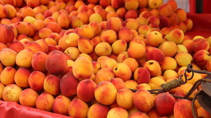 fruits and vegetables