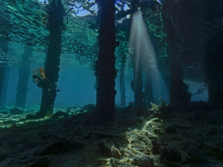 Light curtain under the jetty