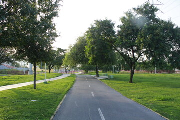 alley in the park