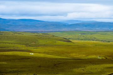 Obraz premium The hills and ranch landscape in Ruoergai Grassland, in Sichuan, China.