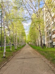 alley in the park
