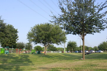 children playing in the park