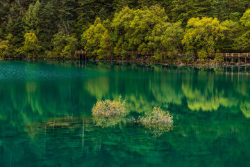 The beautiful turquoise water in ,lakes with forest in Jiuzhai Valley, in Sichuan, China, summer time.