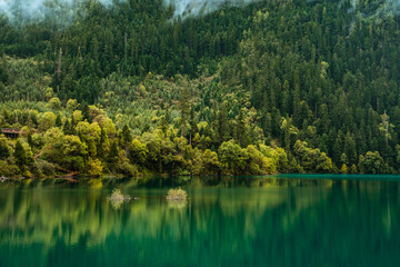 The beautiful turquoise water in ,lakes with forest in Jiuzhai Valley, in Sichuan, China, summer time. - obrazy, fototapety, plakaty