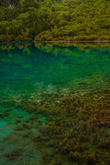 Obraz na płótnie Canvas The beautiful turquoise water in ,lakes with forest in Jiuzhai Valley, in Sichuan, China, summer time.