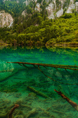 The beautiful turquoise water in ,lakes with forest in Jiuzhai Valley, in Sichuan, China, summer time.