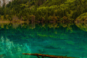 The beautiful turquoise water in ,lakes with forest in Jiuzhai Valley, in Sichuan, China, summer time.