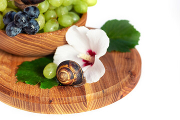 A snail and a bunch of grapes with hibiscus color on a wooden board. White background.