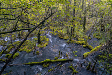 The small waterfalls at pearl beach, in Jiuzhai Valley Park, Sichuan, China.