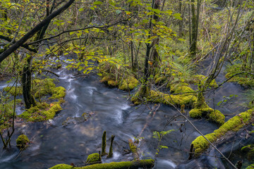 The small waterfalls at pearl beach, in Jiuzhai Valley Park, Sichuan, China.