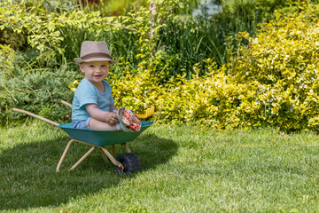 Cute baby boy wearing hat is smiling at the camera sitting on green wheelbarrow in the summer garden.