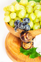 A snail and a bunch of grapes with hibiscus color on a wooden board. White background.