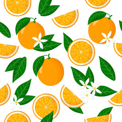 Vector cartoon seamless pattern with Citrus sinensis or Orange exotic fruits, flowers and leafs on white background