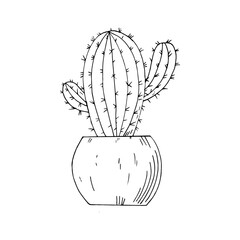 cactus in a pot icon, sticker, card, poster hand drawn vector doodle. sketch, Scandinavian, minimalism, monochrome. single element for design. plant, decor interior