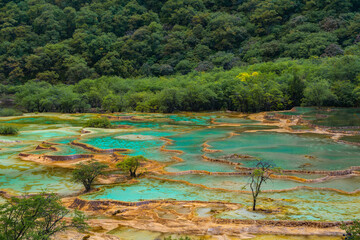 The turquoise color hot spring pools in Huanglong Valley, Sichuan, China, on summer time.