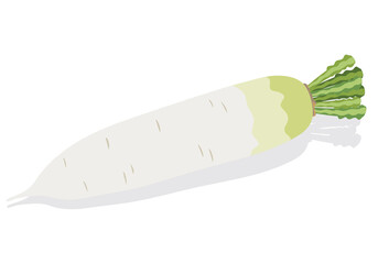野菜_大根