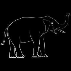 image elephant outline white standing graphics design vector Illustration