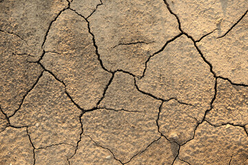 background of cracked dry ground