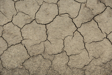 background of cracked dry ground