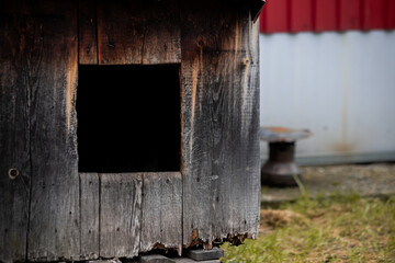 Old abandoned wooden doghouse, weathered by time. Covered by green grass. Selective focus.
