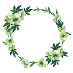 水彩のクリスマスローズのフレーム