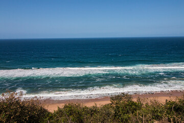 Thick Vegetation Growing on Dunes at Edge of Ocean