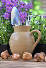 gardening tools in a water jug placed on a table with flowers and bulbs