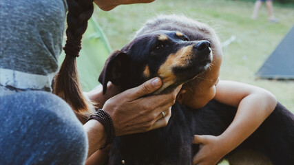 Mother and daughter is gently stroking mongrel dog at camping, close-up. People and animal...