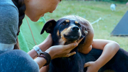 Mother and daughter is gently stroking mongrel dog at camping, close-up. People and animal...