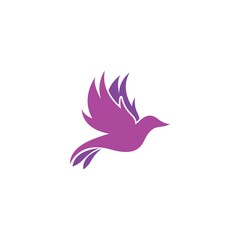 bird logo