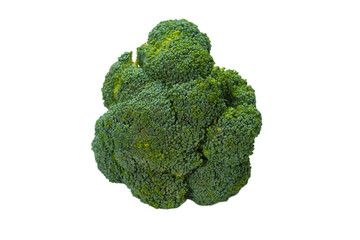 Fresh tasty broccoli isolated on white background.