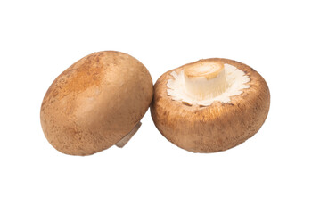 Tasty mushroom isolated on white background.