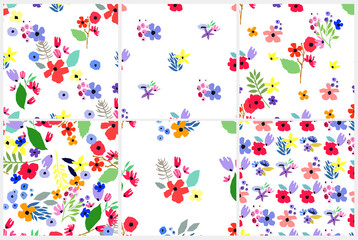 Seamless pattern set. Vector floral design with wildflowers. Romantic background collection