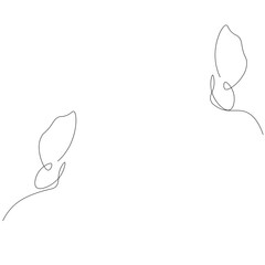 Butterfly fly animal line draw. Vector illustration