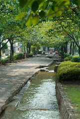 しおかぜ緑道（千葉県浦安市）