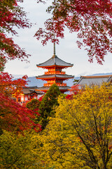 Kiyomizu-dera temple in autumn