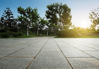 garden nature landscape with empty floor during sunrise