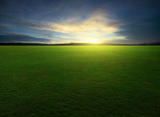 Natural green grass field in sunset