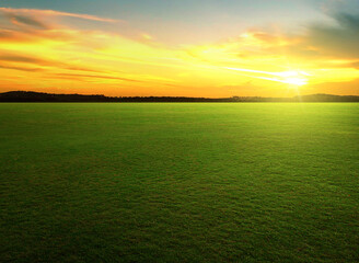 Natural green grass field in sunset
