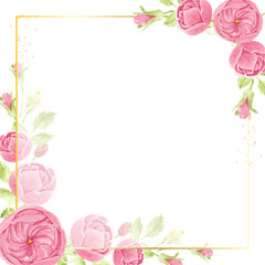 watercolor pink english rose with golden luxury square frame with copy space for text